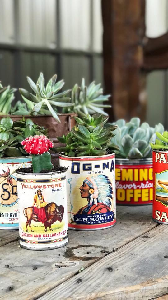 Fun + Inexpensive Succulent Containers