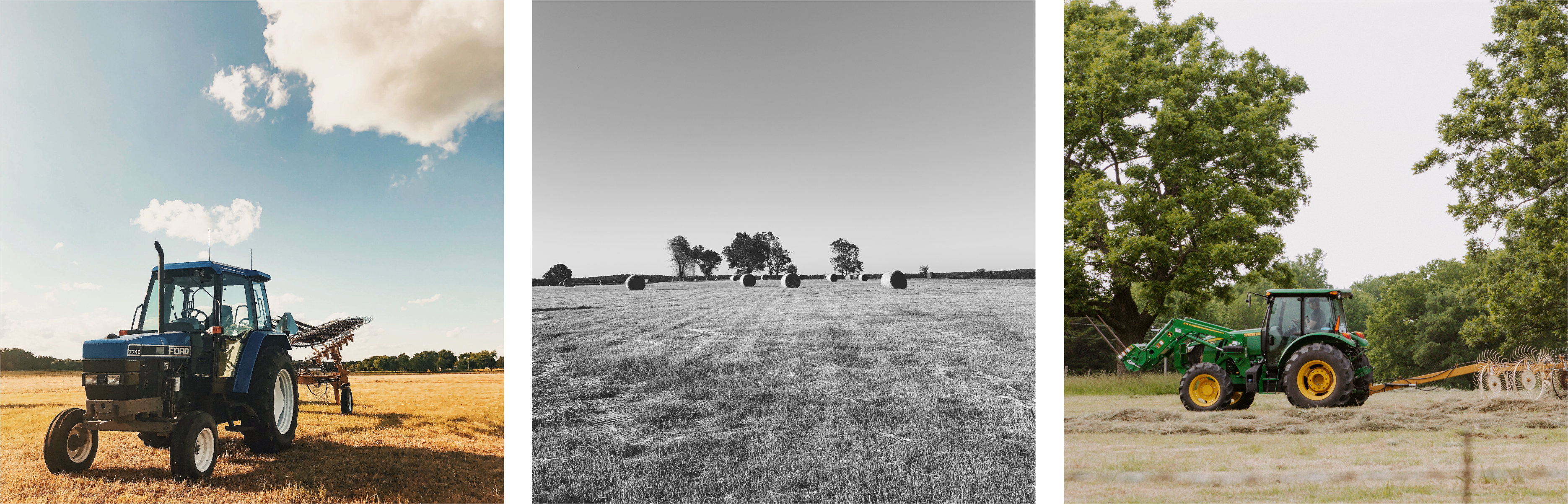 Where We Are Now-hay pics