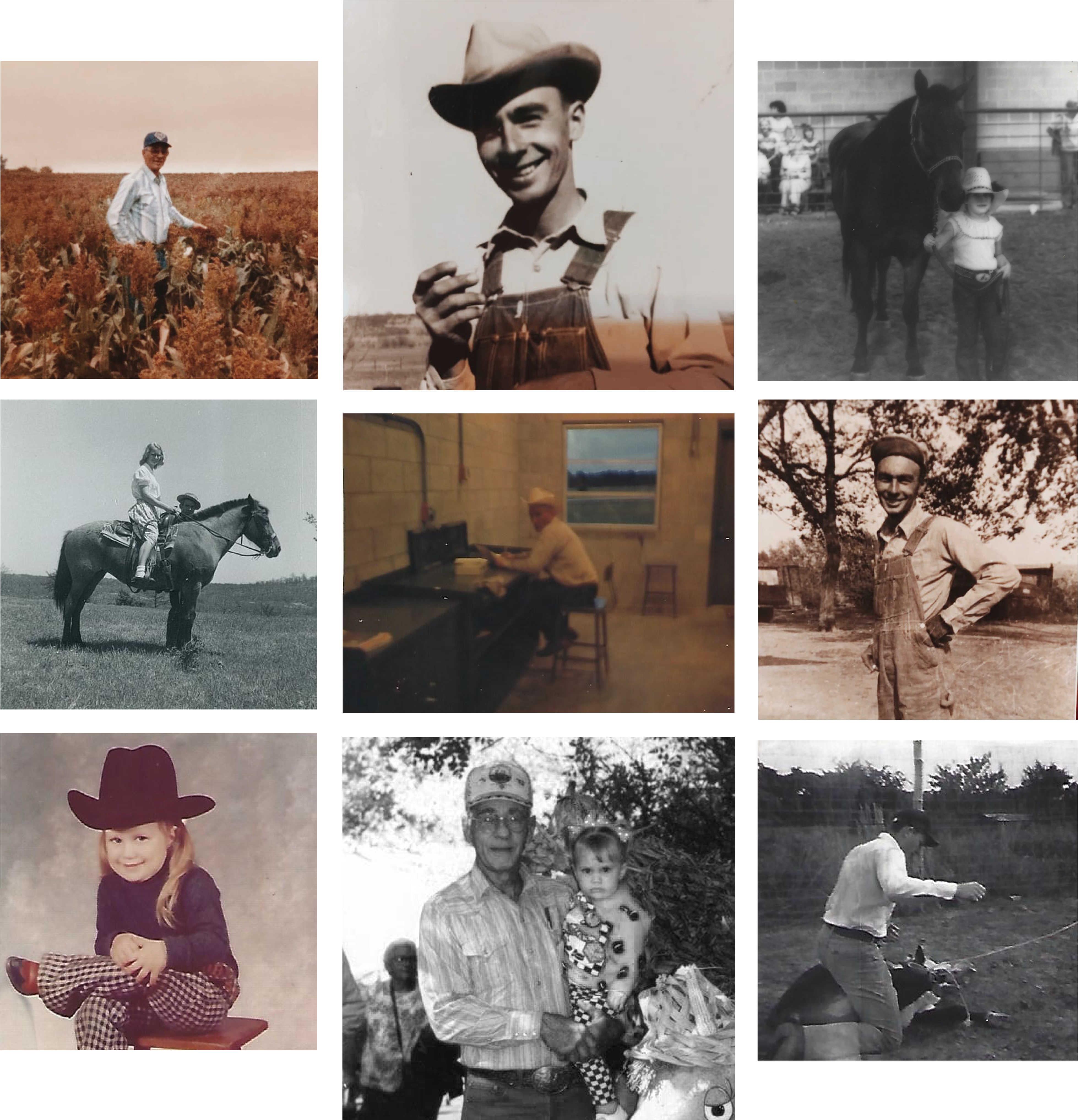 roots-pic collage(HQ)