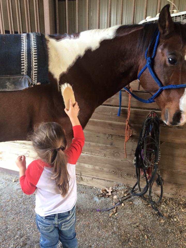 11012193_10153088476500685_7446970808440207789_n