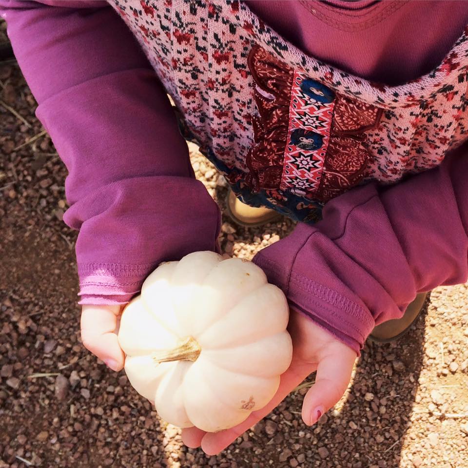 12088258_10153075832755685_1210366740832045522_n