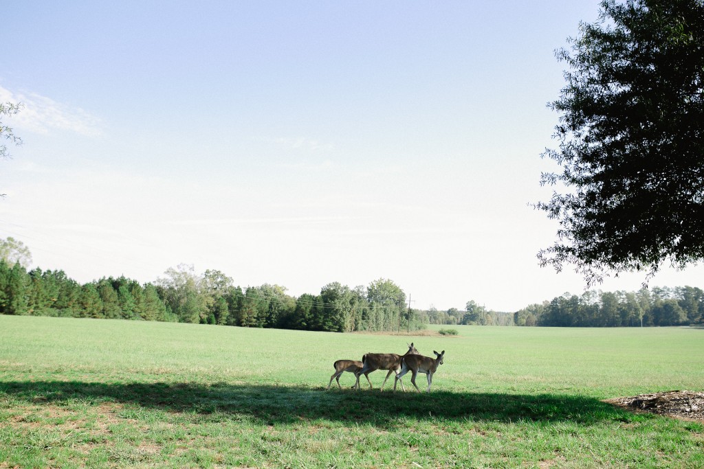 HappilySituated2015_Pursuit-446