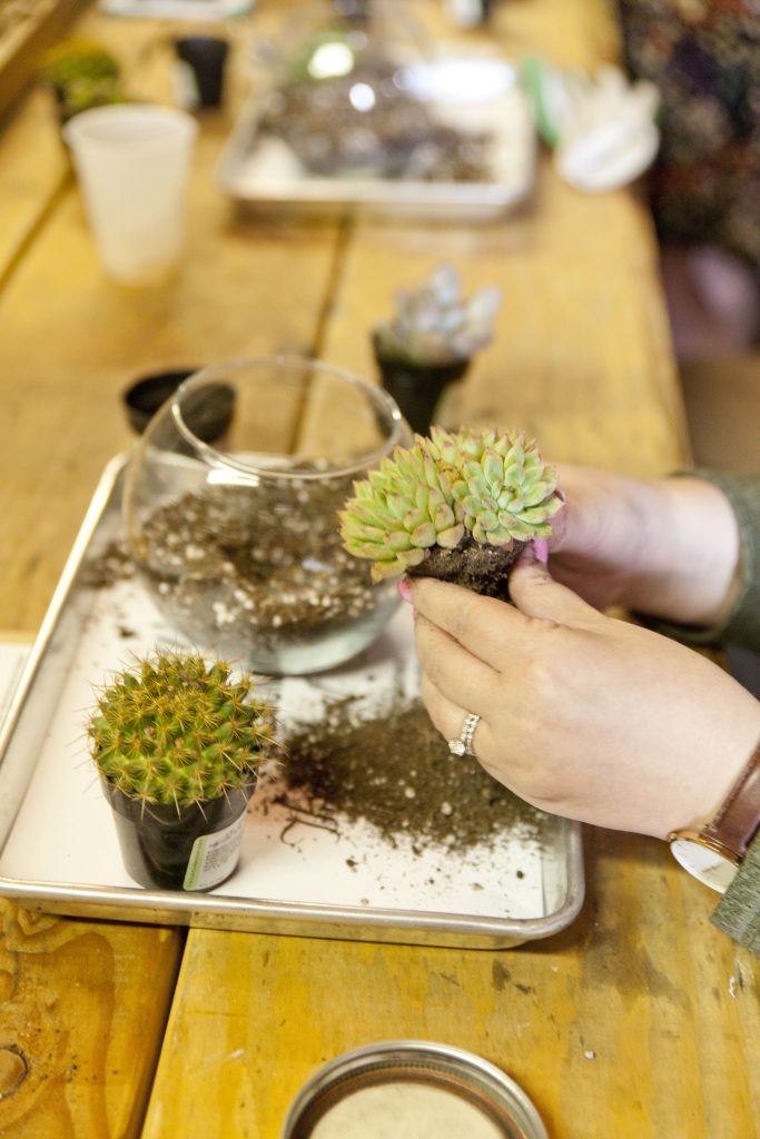 pursuit meet up april_32